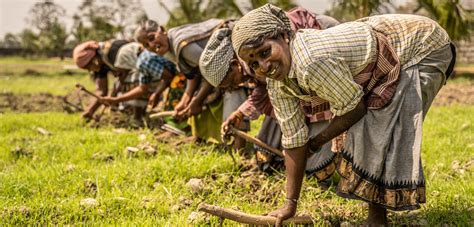 characteristics of village|Village Community: Definition, Evolution and Growth .